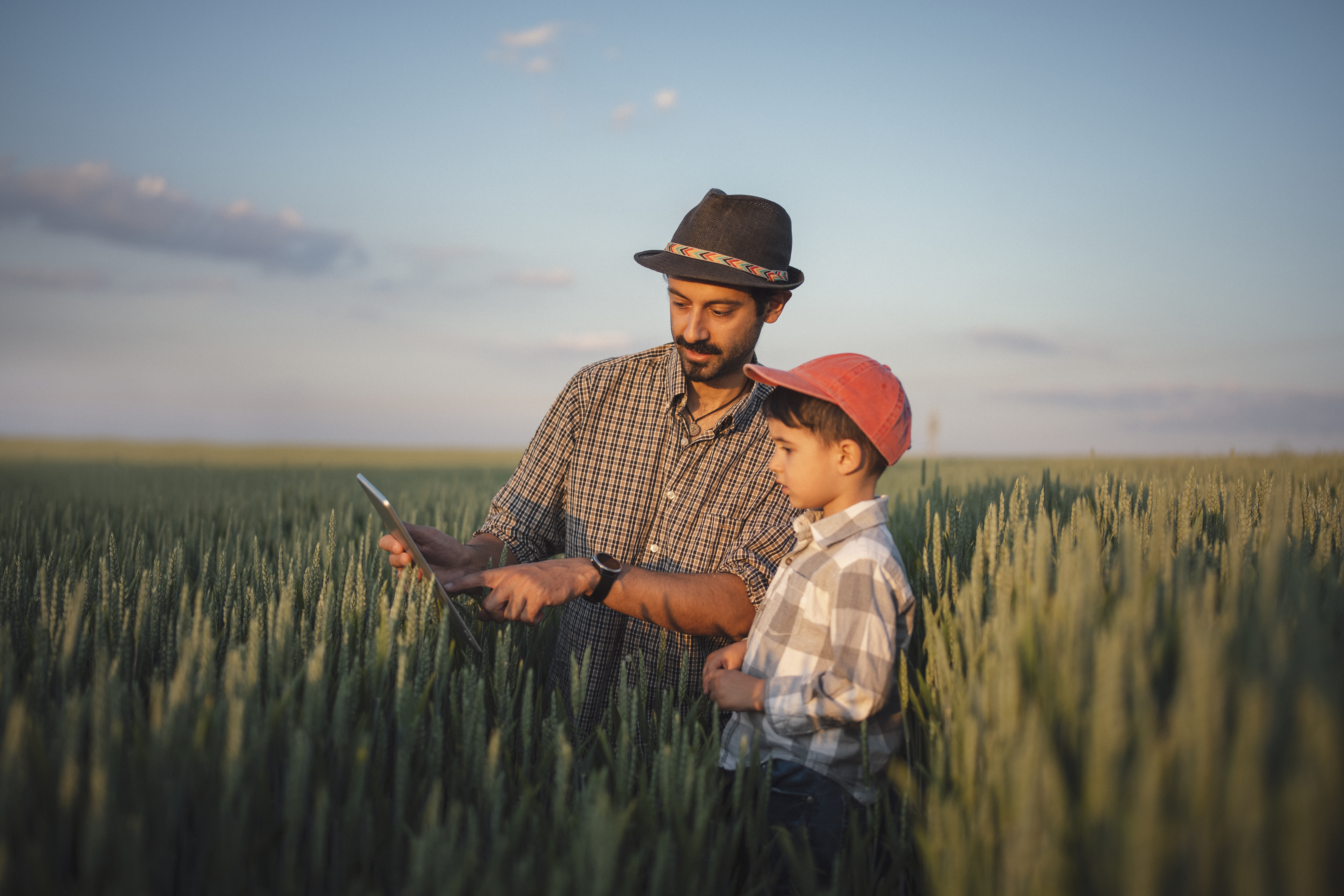 Adopción e inclusión financiera​